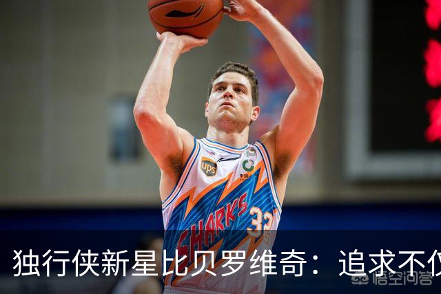 独行侠新星比贝罗维奇：追求不仅仅是NBA球员身份